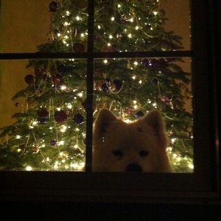 Логотип @strawbbpie - ‧₊ ໒ клубничный пирог ꒱ ࣪˖