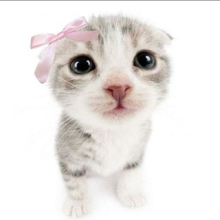 Логотип @strawberryluvme - ꒰ ࣪ Ｓｕｇａｒ ＳｙａｎＳｙａｎ⊹ ࣪.