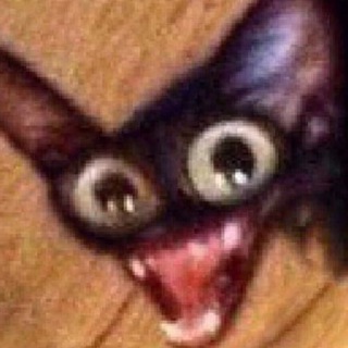 Логотип @stray_sobaki - ну да тут будут псины