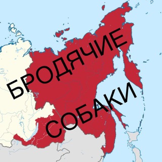 Логотип @straydogs_dv - Бродячие собаки Дальний Восток