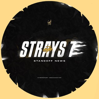 Логотип @straysnewss - Strays News