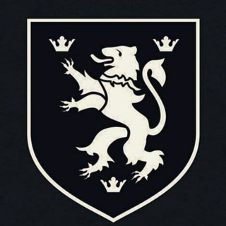 Логотип @streetsshout - Рупор Вулиць!