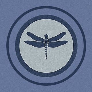 Логотип @strekoza221122 - НЕЙРОВИЗУАЛ/ Стрекоза