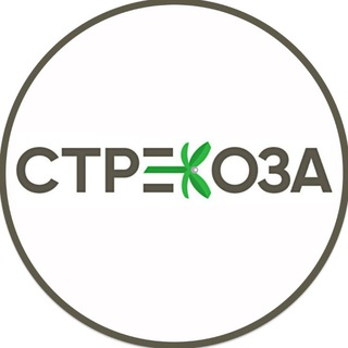 Логотип @strekozairk - СТРЕКОЗА | СЕМЕЙНЫЙ ГИПЕРМАРКЕТ | ИРКУТСК