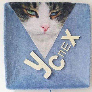 Логотип @stremreliz - Твой стремный коллаб