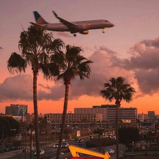 Логотип @stroki_t - Цитаты 🐾