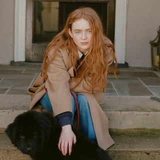 Логотип @stspider - вилка стспайдэр