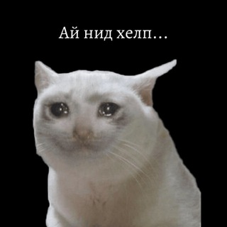 Логотип @stud_inside - Студенческие инсайды