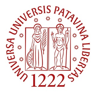 Логотип @studentidfaunipd - StudentiDFAUNIPD