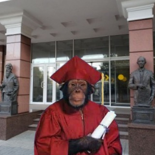 Логотип @studentoleg - Студент Олег Кузнеченко