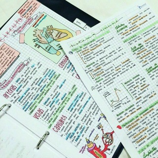 Логотип @studfiles6year - Навчальні матеріали мед.