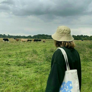 Логотип @study_di - Self-upgrade with D