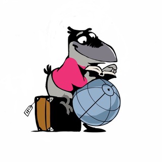 Логотип @studyabroadhse - Study Abroad. HSE University