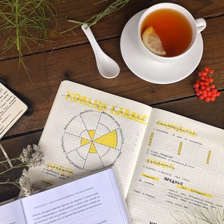 Логотип @studyblru - Курсы // инстаграм // книги