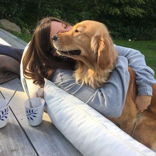 Логотип @studyfal - 𝗌𝗍𝗎𝖽𝗒 𝗂𝗇 𝖺𝗎𝗍𝗎𝗆𝗇 🍂