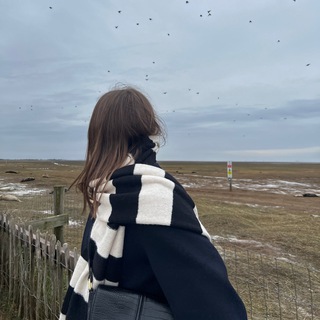 Логотип @studylingua - studylingua