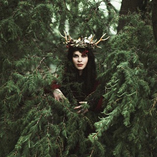 Логотип @stump_hunter - Stump hunter