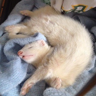 Логотип @stup1dday - .ˎˊ‧₊ 𝐬𝐭𝐮𝐩𝐢𝐝 𝐝𝐚𝐲 ˚‌୧ ₊˚.