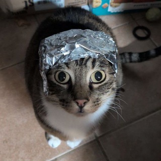 Логотип @stupidbox - iamdarkyoshi's Box Of Stupid