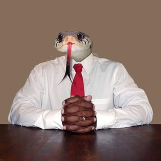 Логотип @sturmundmeme - Sturm und Meme