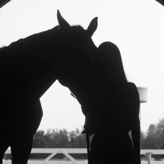 Логотип @stvn017 - 017.aí