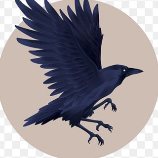 Логотип @stvol_motive - Ворон 18+