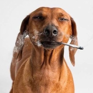 Логотип @styk3and4 - стык между 3 и 4