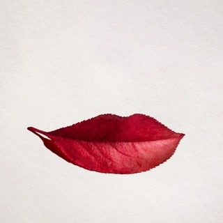 Логотип @style_secrets_chat - Секреты_стиля