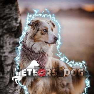 Логотип @su_god - 𝒎𝒆𝒕𝒆𝒐𝒓𝒔 𝒅𝒐𝒈𝒔🪐