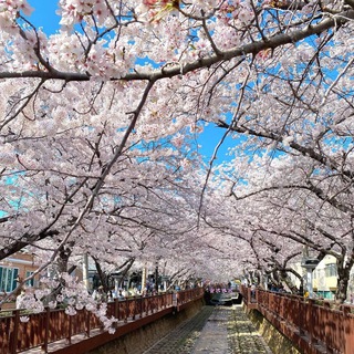 Логотип @sucai_hanguo_taotu1 - 【南汐工作室韩国素材】人设套图/旅游/生活/美食套图全选/朋友圈装饰/高清大图精选/居家日常/风景旅行/生活购物/运动办公/汽车