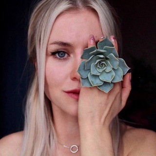 Логотип @succo_mother - Succo_mother суккуленты