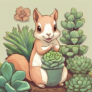 Логотип @succubelka74 - Belkasucculents ❤️🌿