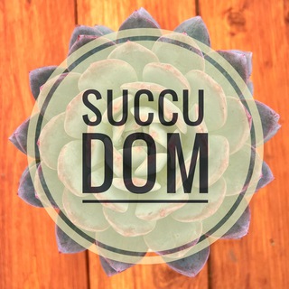 Логотип @succudom - Суккуленты SuccuDOM