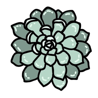 Логотип @succulentchat - Суккуленты Чат 🌵