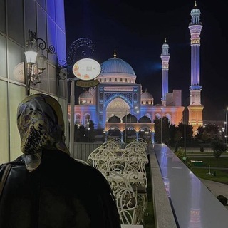 Логотип @suchanhoidill - 🦋🌸🕊