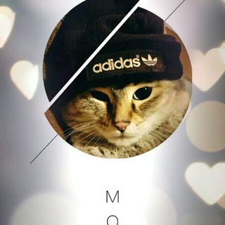 Логотип @suddywka - Maroussia and Surik