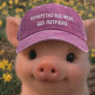 Логотип @suec_sukpzdc - льоха ➕🇺🇦🏳️‍🌈 | #УкрТґ