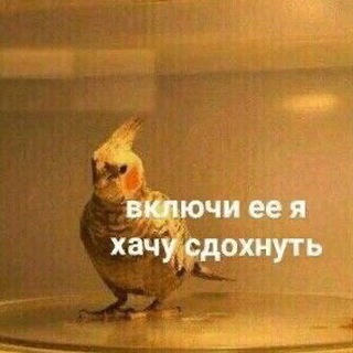 Логотип @suencid - суенцид