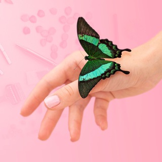 Логотип @sujokonline_women - Женщины | Су Джок