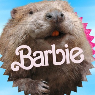 Логотип @sukaetobober - КРУТЫЕ БОБРЫ