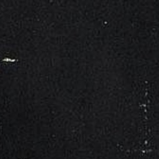 Логотип @sukkui_tripped - суккуи-