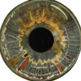 Логотип @sullisdream - 5Ø5