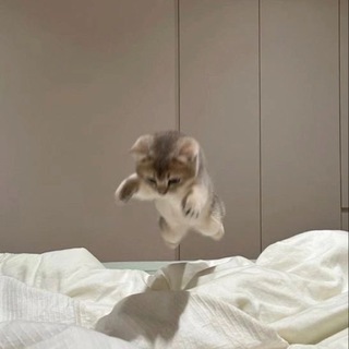 Логотип @sumashedshigoro - сумасшедший гороскопчик