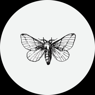 Логотип @sumkimoisumki - sumkimoisumki