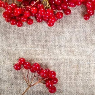 Логотип @sumyfix - СУМИ | SUMY FIX