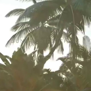 Логотип @sundaystretching - SUNDAY STRETCHING