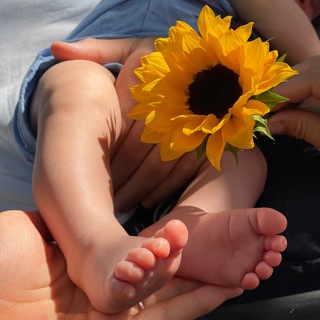 Логотип @sunflowerfamily_sff - SunFlower Family_роды в Майами🤩