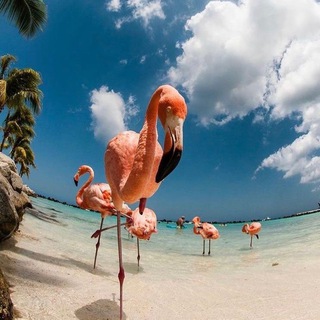 Логотип @sunhunttur - Sun_Hunt_Tur ☀️🏝🌊