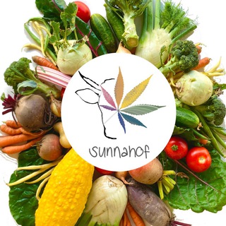 Логотип @sunnahof - Sunnahof Kanal