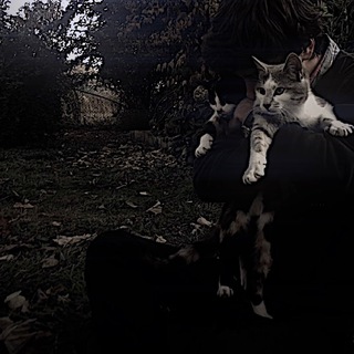 Логотип @sunnypersss - Музыка и Парные